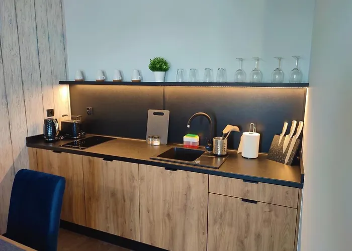 Apartment Wielka Odrzanska Centrum